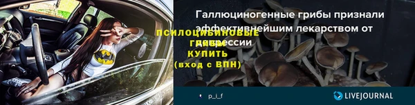 амф Алексеевка
