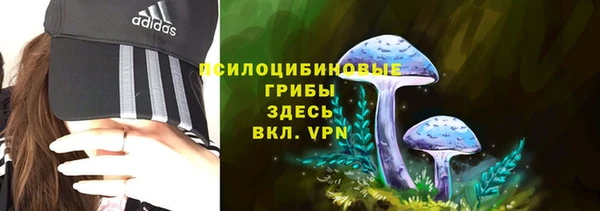 амф Алексеевка