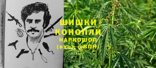 амф Алексеевка