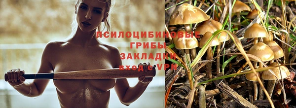 амф Алексеевка