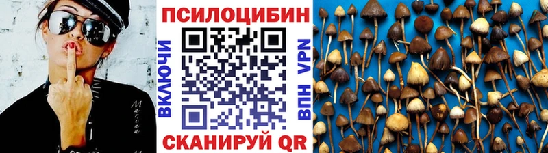 Галлюциногенные грибы Psilocybine cubensis  это наркотические препараты  Новоаннинский  даркнет сайт 