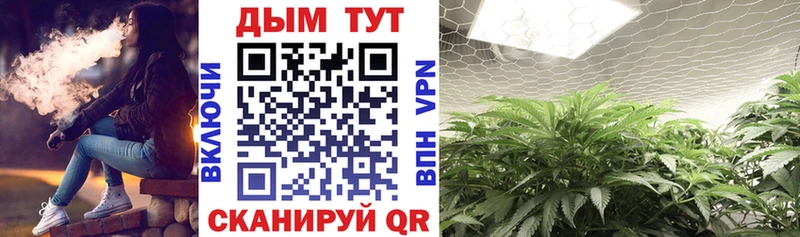 купить закладку  Новоаннинский  Шишки марихуана White Widow 